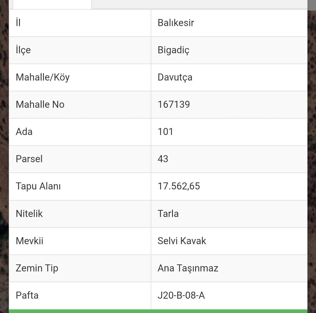 BALIKESİR BİGADİÇ DAVUTÇA KÖYÜNDE SATILIK TARLA - BALIKESİR BİGADİÇ fotoğraf 2